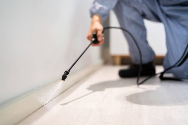 Licensed Pest Control service in Blackhawk, SD - Nex Pest Control