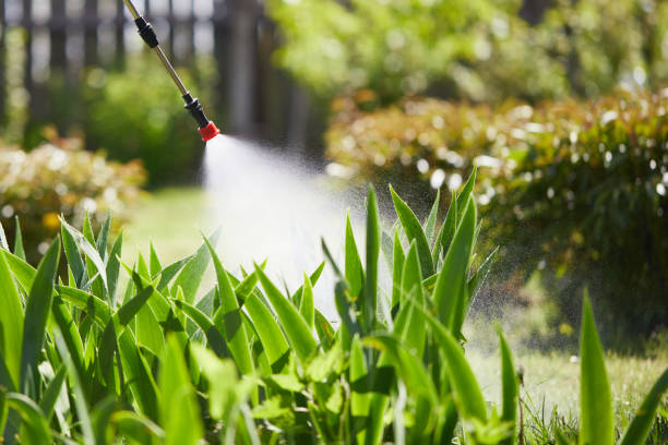 24/7 Emergency Pest Control experts in Blackhawk, SD